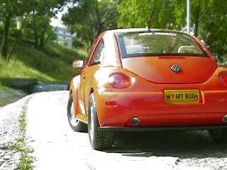 bonnet
